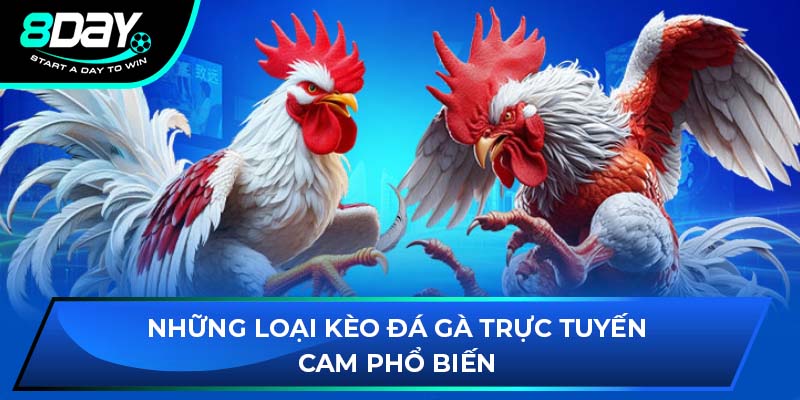 Những loại kèo đá gà trực tuyến cam phổ biến